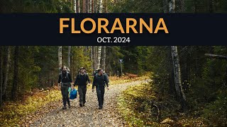 Florarna Oct 2024 [upl. by Youngman]