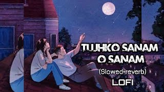 Tujhko Sanam oo Sanam lofi song lofimusic lovesong [upl. by Negrom630]