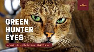 Green Hunter Eyes amp 2020 Vision  Powerful Subliminal [upl. by Hsepid900]