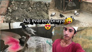 Aaj evareey bnaya or Ek new mhaman aiy 🤫😀😝 [upl. by Nyrac]