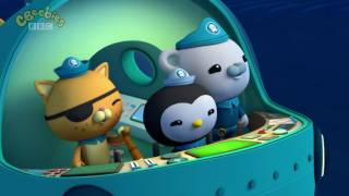 Octonauts The Humphead Parrotfish [upl. by Tiersten]