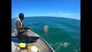 dugong hunting [upl. by Daren416]