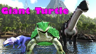 Arks EPIC World Turtle Mod  Shorts [upl. by Illom]