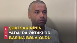 Meşəlikdəki gölün “ada” hissəsində plantasiya saldı nəzarət üçün kamera qurdu – APA TV [upl. by Yrannav]