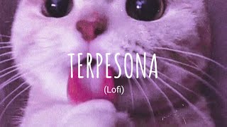 Vietsub  Lyric Terpesona lofi  Bulan Gustixa  Music Tik Tok [upl. by Hopfinger]