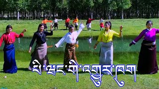 Beautiful Tibetan Dances and Songs པི་ཝང་གི་འགྱུར་ཁུག མུ་འབྲེལ་དམངས་གླུ། [upl. by Igenia746]