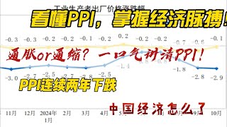 一口气了解PPI！揭开生产者价格指数背后的经济玄机，通胀还是通缩？ [upl. by Clover]