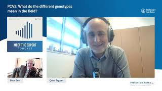 PCV2 What do the different genotypes mean in the field [upl. by Brenda]