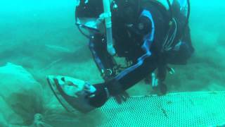 Chepstow 2013  Scuba Diving [upl. by Merta]