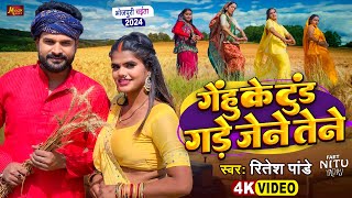 ViralVideo  चईता  गेंहू के टुंड गड़े जेने तेने  Ritesh Pandey  Gade Jene Tene  Bhojpuri Song [upl. by Gwenneth]