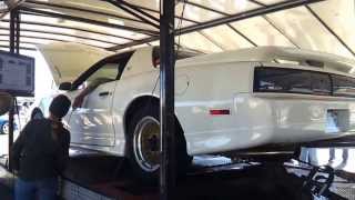 1988 Pontiac Trans Am Dyno [upl. by Attennod]