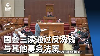 国会三读通过反洗钱与其他事务法案 [upl. by Amadeus]