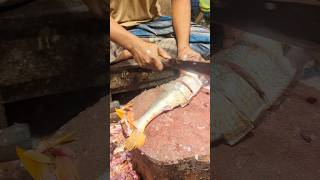 Amazing Poa Fish Cutting Skills In Bangladesh Fish Market By Expert Cutter shorts [upl. by Salkin]