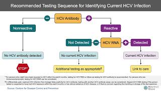 Hepatitis C Virus Screening and Diagnosis [upl. by Wilkens]