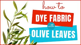 How to Dye Fabric with Olive Leaves [upl. by Alil]