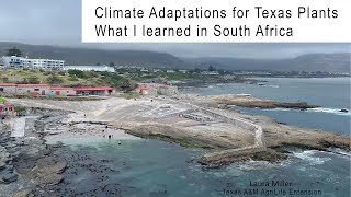 What I learned in South Africa climate adaptations for Texas plants [upl. by Eiral]