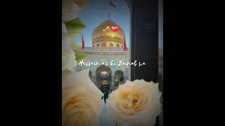 Hussain ki Zainab  bibi zainab Munajat zainabkishan bibizainab 5JamadiulAwwal [upl. by Fryd]