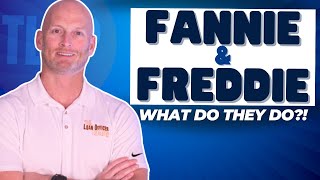 The Story of Fannie Mae and Freddie Mac [upl. by Yeclehc106]