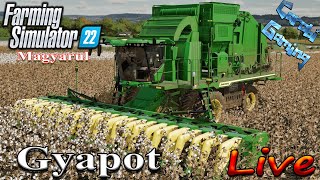 Farming Simulator 22  11 rész Gyapot technológia  Ruhagyárban van a legnagyobb profit [upl. by Aroon98]