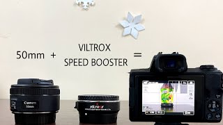 Viltrox Speed Booster  Canon 50mm Lens  Canon M50  Video Sample [upl. by Arramahs279]