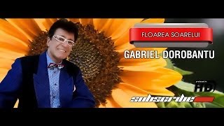 Gabriel Dorbantu Floarea Soarelui [upl. by Lipps]