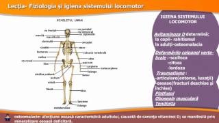 FIZIOLOGIA ȘI IGIENA SISTEMULUI LOCOMOTOR [upl. by Dorena]