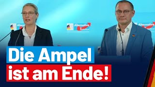 Presseerklärung von Alice Weidel und Tino Chrupalla [upl. by Winnifred359]