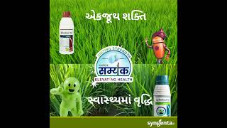 Samyak Product Video Gujrati  Syngenta [upl. by Elleirbag275]