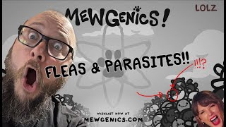 WMEW 999  Emergency Report  Fleas amp Parasites [upl. by Erdnua748]