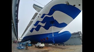 Grand Princess  Dry Dock 2019 [upl. by Loos]