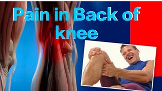 Back of knee pain relief massage and muscles stretching exercise viralvideo youtube physiocity [upl. by Llednol]