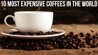 THE 10 MOST EXPENSIVE COFFEES IN THE WORLD [upl. by Reham]