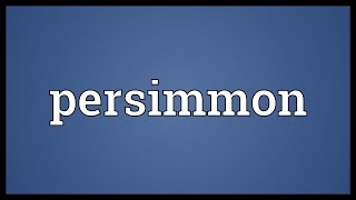 Persimmon Meaning [upl. by Einhpad]