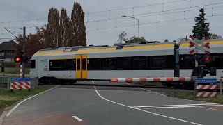 Spoorwegovergang Venlo Grens  Dutch Railroad Crossing [upl. by Olmsted]