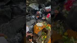 Har har shambhu 🌼 Mahakal shorts video 📷 [upl. by Ahsieyk]