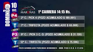 CARRERAS HIPODROMO MARONAS 91223 [upl. by Lynnelle338]