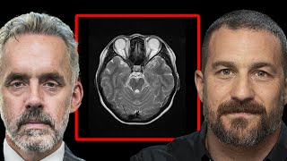 Andrew Huberman  How Does The Brain Handle Anxiety  Jordan Peterson [upl. by Brade]