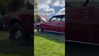 Any Camaro fans around Subscribe for better Fridays  musclecars cars shorts [upl. by Carlye]