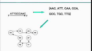 Genome Assemby Chinese Postman and Virtual Clusters [upl. by Isawk]