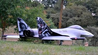 RC Jet Kithira von GenericFly mit IQ Hammer 200 [upl. by Atekahs]