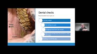 The Basics of Horse Care Webinar with Dr Natalie Sanza [upl. by Hermann]