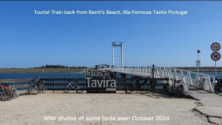 Tourist Train from Barrils Beach Tavira Portugal birdingnorthdevon [upl. by Perkins]