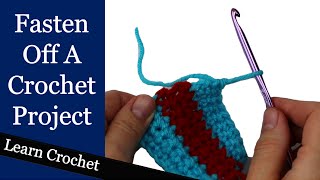 How to Finish a Crochet Project  Beginner Course Lesson 75 [upl. by Derna]