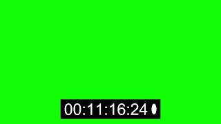 1 Hour TimeCode Counter  4K Green screen FREE high quality effects [upl. by Ardnasxela]