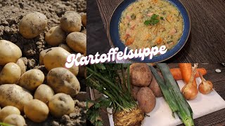 Kartoffelsuppe Einfaches Rezept für cremigen Genuss – Perfekt für kalte Tage [upl. by Akienaj]