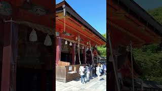 4 months in Asia  Kinkakuji Golden Temple Kyoto Japan [upl. by Ignatius]