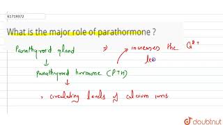 What is the major role of parathormone [upl. by Slotnick]