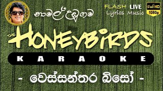 Wessanthara Biso Karaoke Without Voice වෙස්සන්තර බිසෝ කැරෝකේ [upl. by Purington641]