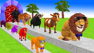 Paint amp Animals CowGorillaLionTigerFerdinand Fountain Crossing Transformation Cartoon [upl. by Magdalena]