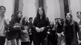 Desert Rose  LOLO ZOUAÏ a cappella cover [upl. by Simson]